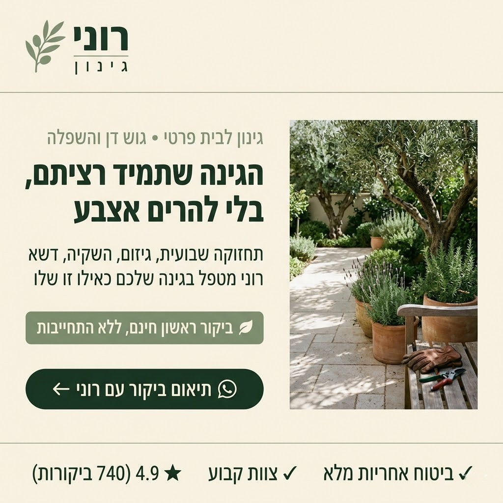 דוגמת מודעה שנוצרה ב-Grow AI